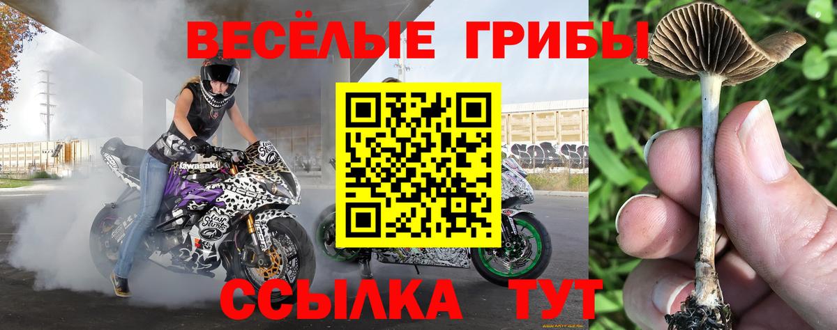 Псилоцибиновые грибы Magic Shrooms Бийск